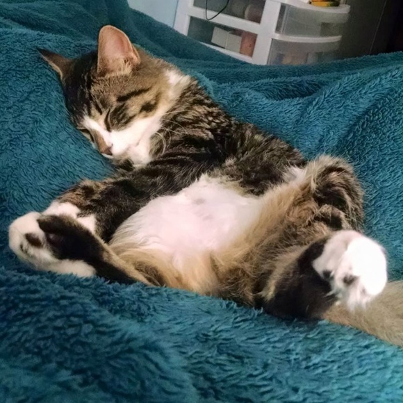 Meet your posher! I'm Hope, from Five To Thrifty! - Picture 4 of 5